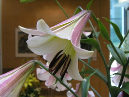 Foto: Dr. Peter Müller